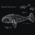 Buy British Sea Power - Sea Of Brass Mp3 Download