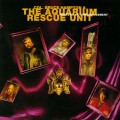 Buy Aquarium Rescue Unit - Mirrors Of Embarrassment (With Col. Bruce Hampton) Mp3 Download