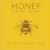 Buy The Josh Garrett Band - Honey For My Queen Mp3 Download