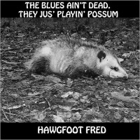 Purchase Hawgfoot Fred - The Blues Ain't Dead, They Jus' Playin' Possum