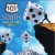 Buy 101 South - Roll Of The Dice Mp3 Download