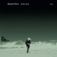 Purchase David Torn - Only Sky