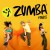 Buy Zumba Fitness - Cardio Party Mp3 Download
