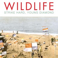Purchase Wildlife - Strike Hard, Young Diamond