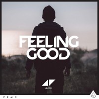 Purchase Avicii - Feeling Good (CDS)