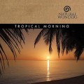 Buy David Arkenstone - Tropical Morning Mp3 Download