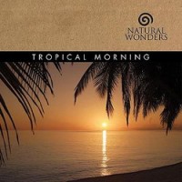 Purchase David Arkenstone - Tropical Morning