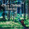 Buy Gary Stadler & Wendy Rule - Deep Within A Faerie Forest Mp3 Download