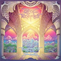 Purchase Ozric Tentacles - Technicians Of The Sacred CD2