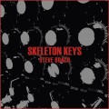 Buy Steve Roach - Skeleton Keys Mp3 Download