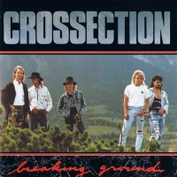 Purchase Crossection - Breaking Ground