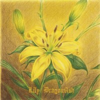 Purchase Dragon Ash - Lily (CDS)