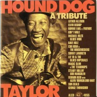 Purchase VA - Hound Dog Taylor - A Tribute