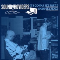 Purchase Sound Providers - It's Gonna Bee Pt. 2 - 5 Minutes Remix (VLS)