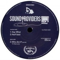 Purchase Sound Providers - Say What (VLS)