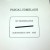 Buy Pascal Comelade - Irregular Organs (Vinyl) Mp3 Download