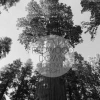 Purchase Redwood Down - Flying High