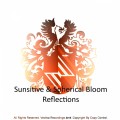 Buy Sunsitive & Spherical Bloom - Reflections (EP) Mp3 Download