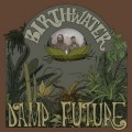 Buy Birthwater - Damp Future Mp3 Download