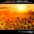 Buy Hazem Beltagui - Sunrise At H4Z3 (EP) Mp3 Download