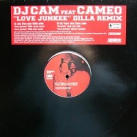 Purchase DJ Cam - Love Junkee (Feat. Cameo) (CDR)