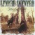 Buy Lynyrd Skynyrd - The Last Rebel Mp3 Download