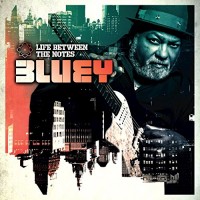 Purchase Bluey - Life Between The Notes