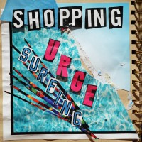 Purchase Shopping - Urge Surfing