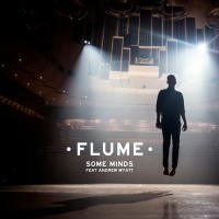 Purchase Flume - Some Minds (CDS)