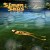 Buy Simon Says - Siren Songs Mp3 Download