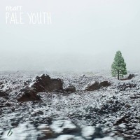 Purchase Nearr - Pale Youth
