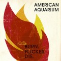 Buy American Aquarium - Burn Flicker Die Mp3 Download