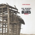 Buy Davide Drusian - One Hundred And Eight Blues Solos Mp3 Download