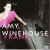Buy Amy Winehouse - Frank (Deluxe Edition) Mp3 Download