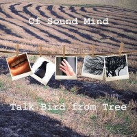 Purchase Of Sound Mind Prog Band - Talk Bird From Tree