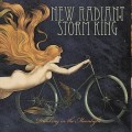 Buy New Radiant Storm King - Drinking In The Moonlight Mp3 Download