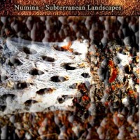Purchase Numina - Subterranean Landscapes