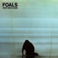 Purchase Foals - What Went Down (CDS)