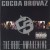 Buy Cocoa Brovaz - The Rude Awakening Mp3 Download
