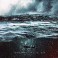 Purchase From What We Believe - Sink Or Swim