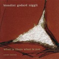 Buy Biondini Godard Niggli - What Is There What Is Not Mp3 Download