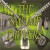 Buy The Swamp Drivers - The Swamp Drivers Mp3 Download