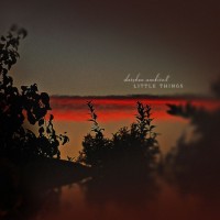 Purchase Darshan Ambient - Little Things