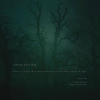 Purchase David Sylvian - There’s A Light That Enters Houses With No Other House In Sight.