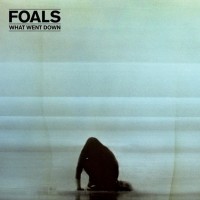 Purchase Foals - What Went Down