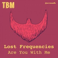 Purchase Lost Frequencies - Are You With Me (CDS)