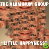 Purchase The Aluminum Group - Little Happyness