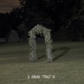 Buy S. Araw Trio Xi - Gazebo Effect Mp3 Download