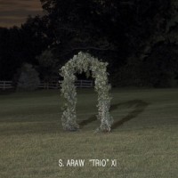 Purchase S. Araw Trio Xi - Gazebo Effect