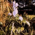 Buy Juliana Hatfield - Juliana's Pony: Total System Failure Mp3 Download
